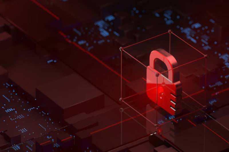 信创浪潮下的协同进阶:黄埔区软件开发公司助力ERP与多系统信创适配
